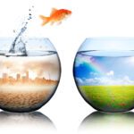 DIN EN ISO 14001