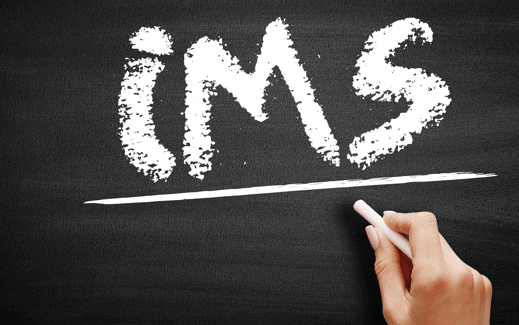 IMS intergriertes managementsystem