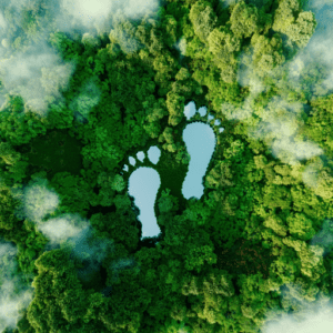 Umweltmanagement ISO 14001
