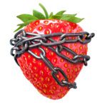 ISO 22000 Lebensmittelkette Präventivprogramme